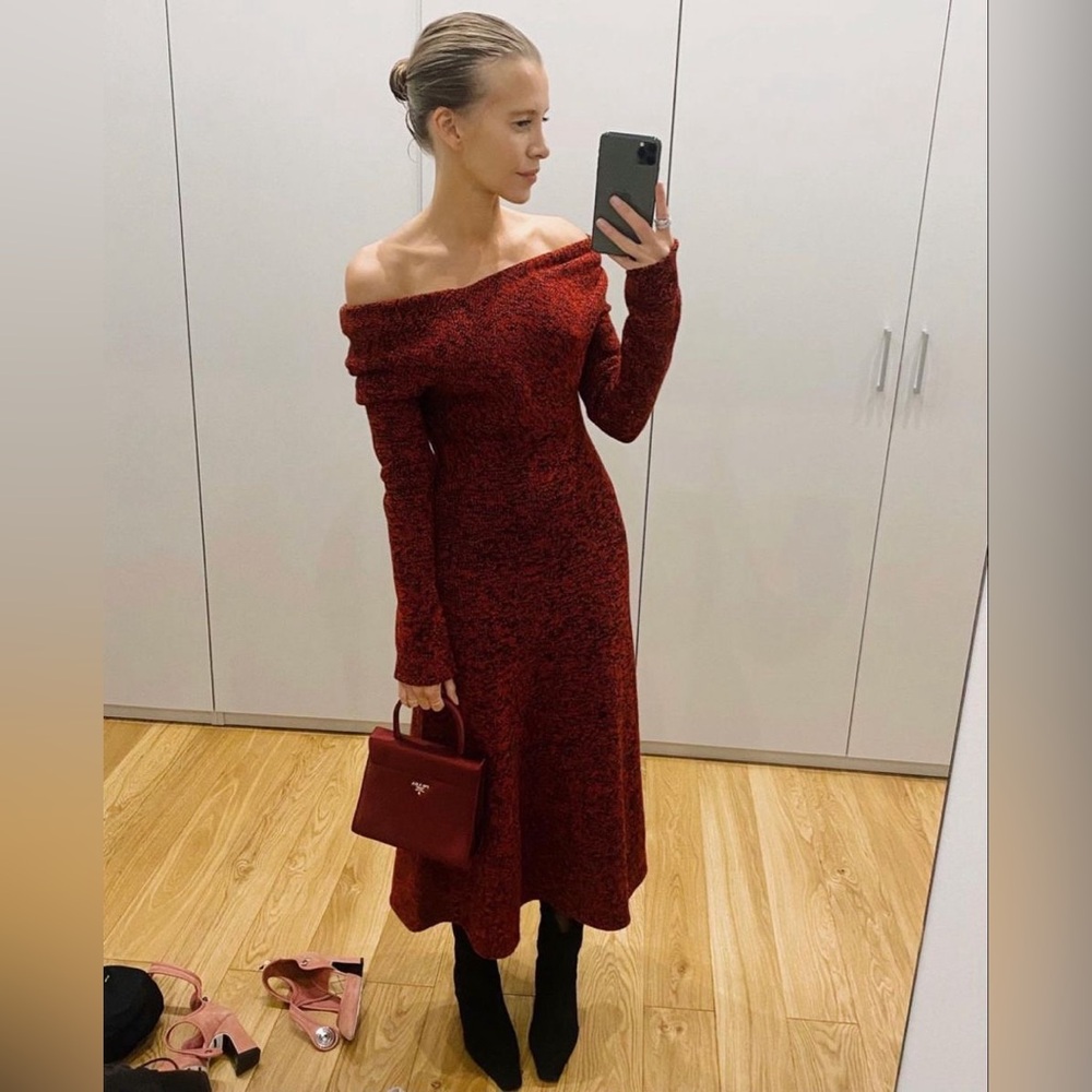 Zara Knit  Dress NWT